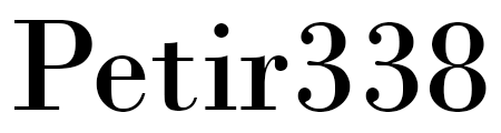 Petir338